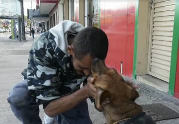 Homem em situação de rua no Paraná recupera na Justiça cachorro que foi para adoção: 